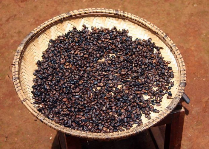 Materuni waterfalls, coffee tour 2