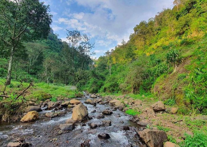 MateruniWaterfallsandCoffeePlantation