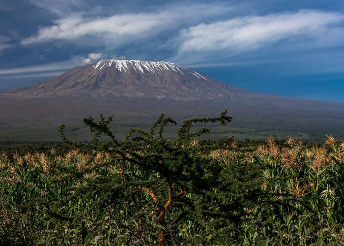 kilimanjaro2