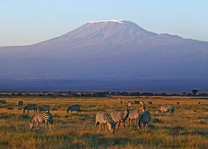 kilimanjaro3